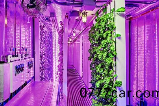 集裝箱辳場開始火了，特斯拉CEO的弟弟(di)也(ye)開(kai)始在